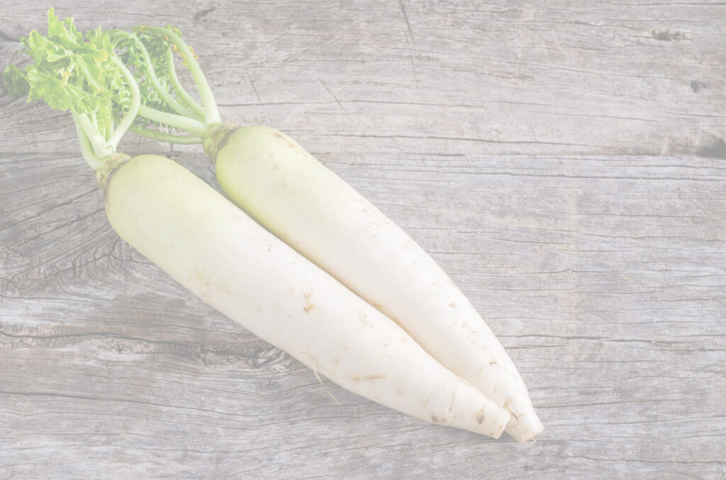 Leuconostoc/ Radish Root Ferment Filtrate Archives - Active Micro ...